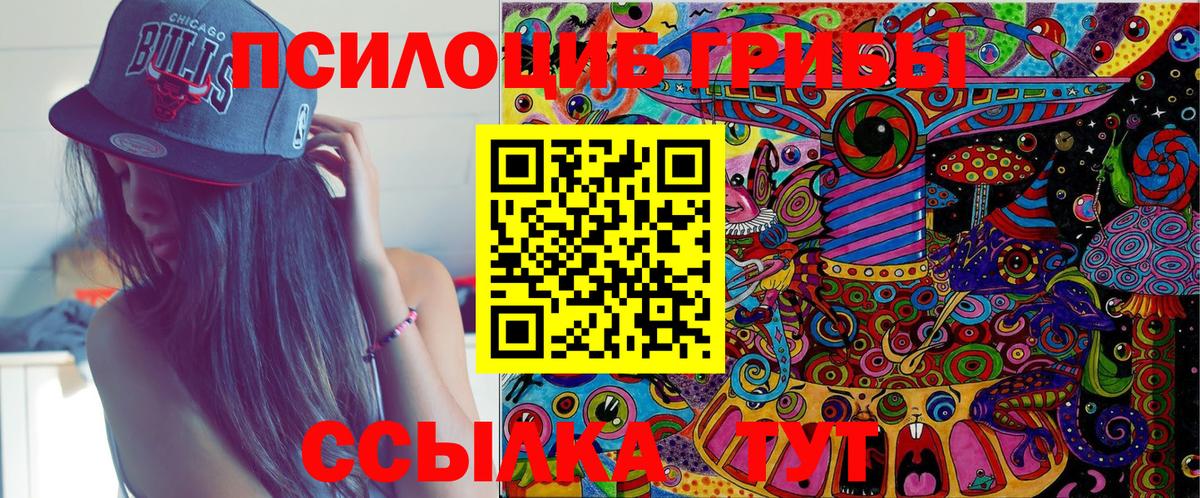 Галлюциногенные грибы Cubensis Георгиевск